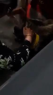 Ở với ngoại bao nhiêu năm, hôm nay ngoại mất, chú chó khóc run nhớ thương chủ-2