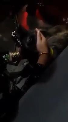 Ở với ngoại bao nhiêu năm, hôm nay ngoại mất, chú chó khóc run nhớ thương chủ-3