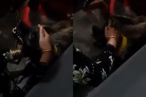 Chú chó hot nhất Facebook gần 1 tuần qua, lập fanpage 4 ngày thu về 32 ngàn lượt thích, ai nhìn cũng muốn nuôi!-10