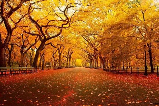 Miền đông bắc nước Mỹ lãng mạn thời khắc sang thu