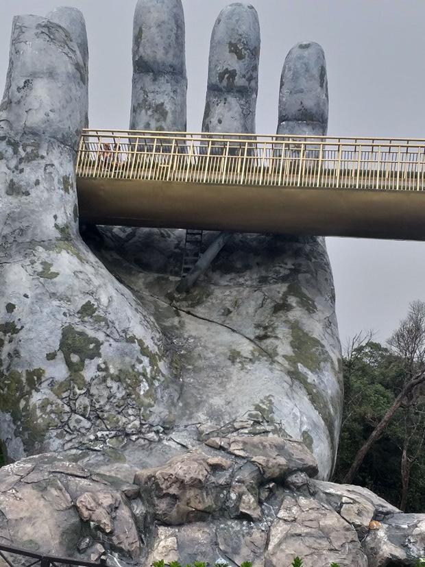 Dân mạng chết cười với hình ảnh chú mèo xuất hiện ở Cầu Vàng: Trẫm là hoàng thượng, cần gì phải mua vé!-7