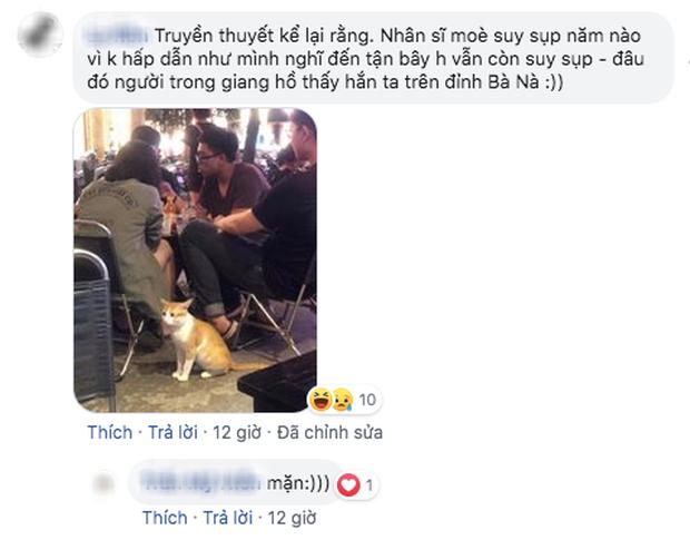 Dân mạng chết cười với hình ảnh chú mèo xuất hiện ở Cầu Vàng: Trẫm là hoàng thượng, cần gì phải mua vé!-8