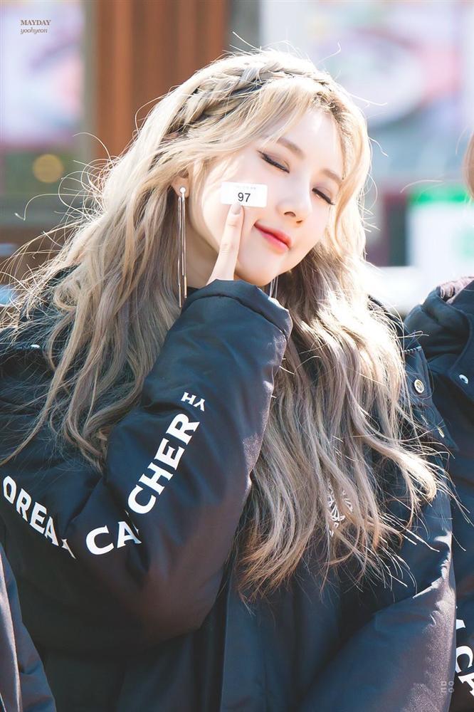 Tử vi thứ Năm ngày 17/10/2019 của 12 con giáp: Sửu tránh nóng nảy vô cớ, Mão bất đồng trong tình cảm-1