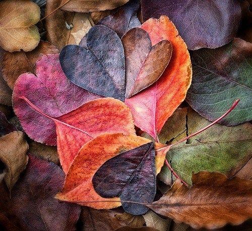 Tử vi thứ Năm ngày 17/10/2019 của 12 con giáp: Sửu tránh nóng nảy vô cớ, Mão bất đồng trong tình cảm-2