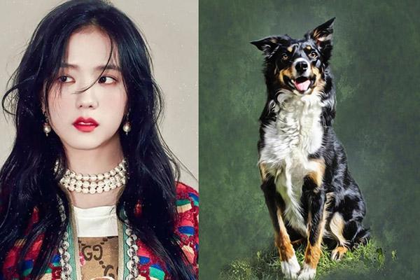 Tuổi Mùi hợp màu gì năm 2020 để sự nghiệp thăng tiến?-3