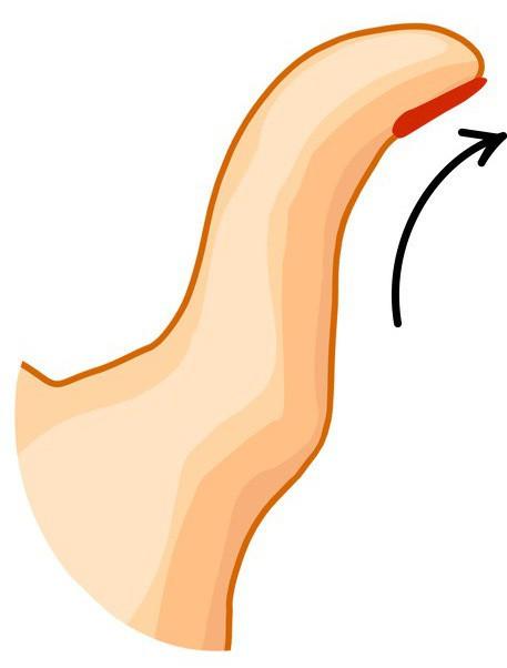 Bỏ 1 giây nhìn hình dáng ngón tay, đọc chuẩn vị tính cách của từng người-2