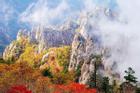 Mùa lá chuyển màu đẹp tựa tiên cảnh ở vùng núi Hàn Quốc