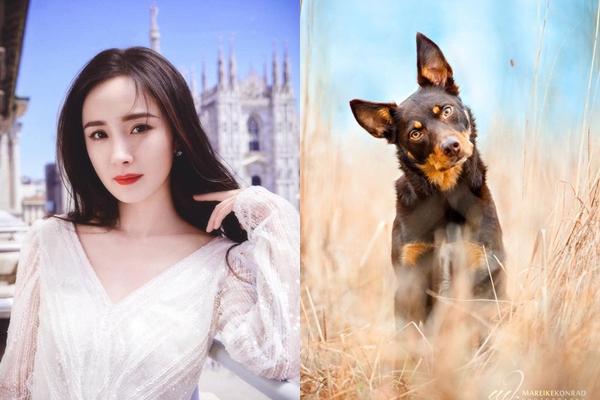 Cuối tháng 9 âm lịch: 3 con giáp chạy trời cũng khó thoát họa tiểu nhân, sự nghiệp long đong, tình duyên lận đận-3