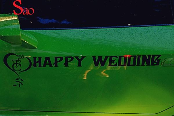 Những đám cưới bạc tỷ của showbiz Việt: Đông Nhi - Ông Cao Thắng dẫn đầu về độ chịu chơi?-20