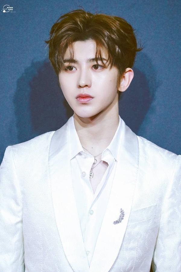 Bạn có biết những danh xưng dành cho dàn lưu lượng hot bậc nhất Cbiz?-9