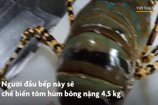 Luộc tôm hùm bông nặng 4,5 kg chắc thịt, tươi ngon