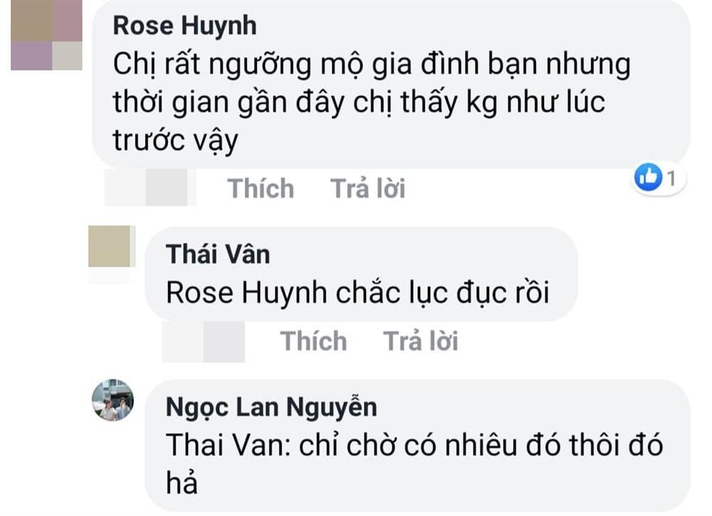 Ngọc Lan đáp trả gay gắt khi bị dân mạng chất vấn chuyện ly hôn Thanh Bình-3