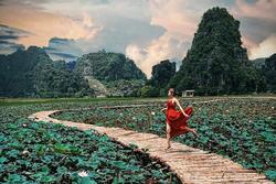 Sen nở rộ, lúa trải vàng ở địa điểm check-in hot nhất Ninh Bình