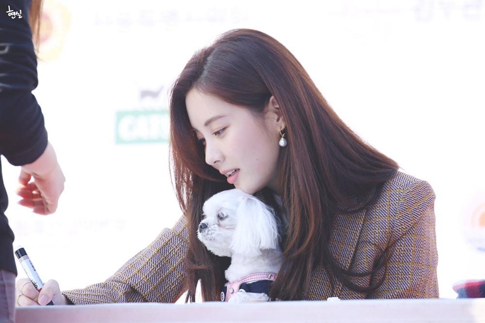 Ba thần tượng 9X được chọn là hình mẫu idol lý tưởng ở Hàn-2