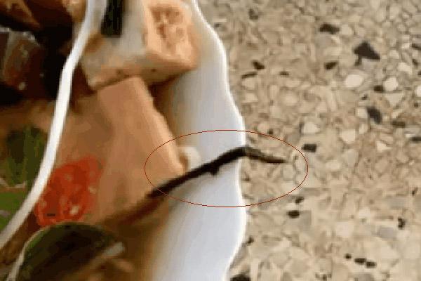 Nhờ chồng rửa cho quả mướp đắng, cô vợ tá hỏa khi thấy thành quả-2