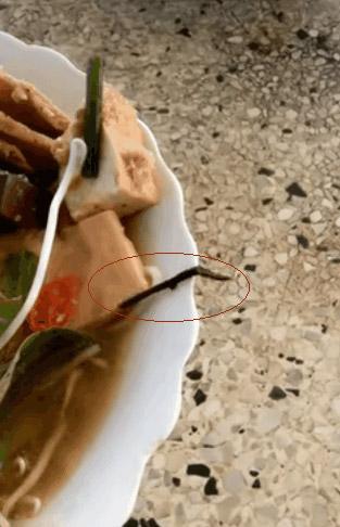 Chủ nói rau sạch nhưng khách lại hết hồn khi thấy sinh vật bò lổm ngổm trong bát bún-1