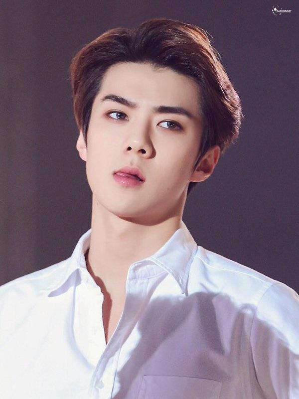 Sehun được biết đến là thành viên quyến rũ nhất của EXO. Anh chàng ra mắt vào năm 2011 sau khi trở thành thực tập sinh của SM Entertainment - một trong những công ty giải trí lớn nhất ở Hàn Quốc, quy tụ nhiều thực tập sinh đẹp trai. Em út nhóm EXO luôn gây ấn tượng bởi khí chất vương giả, khuôn mặt lạnh lùng có nét hơi cao ngạo. Trông anh chàng giống một công tử quý tộc trong hoàng cung.