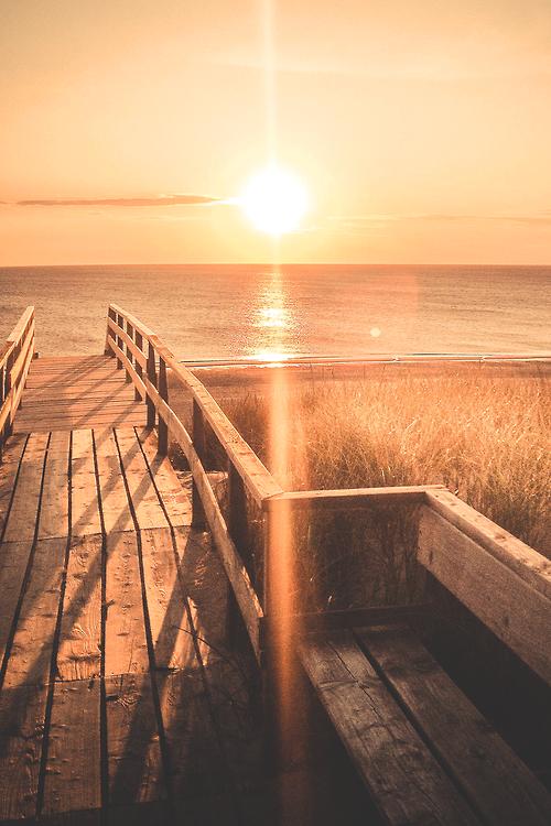 Tử vi thứ Bảy ngày 26/10/2019 của 12 con giáp: Tỵ dồi dào tiền bạc, Mùi mệt mỏi đeo bám-2