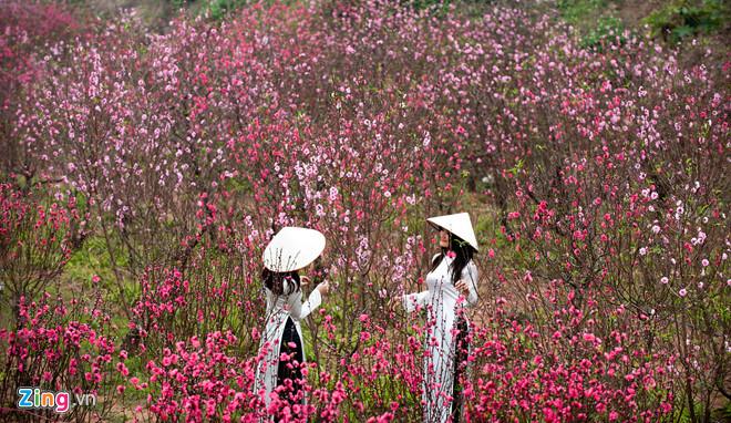 Bộ Lao động thông báo việc nghỉ Tết Âm lịch 2020-1