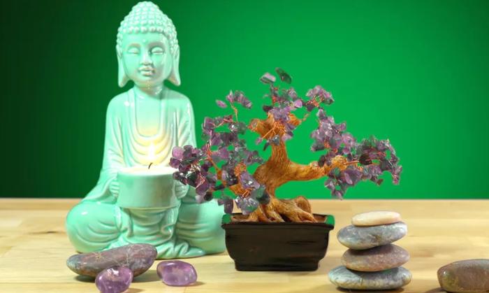 Đón tài, rước lộc vào nhà nhờ trang trí phòng với cây đá quý vừa sang, vừa đẹp-1