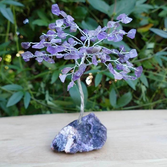 Đón tài, rước lộc vào nhà nhờ trang trí phòng với cây đá quý vừa sang, vừa đẹp-2