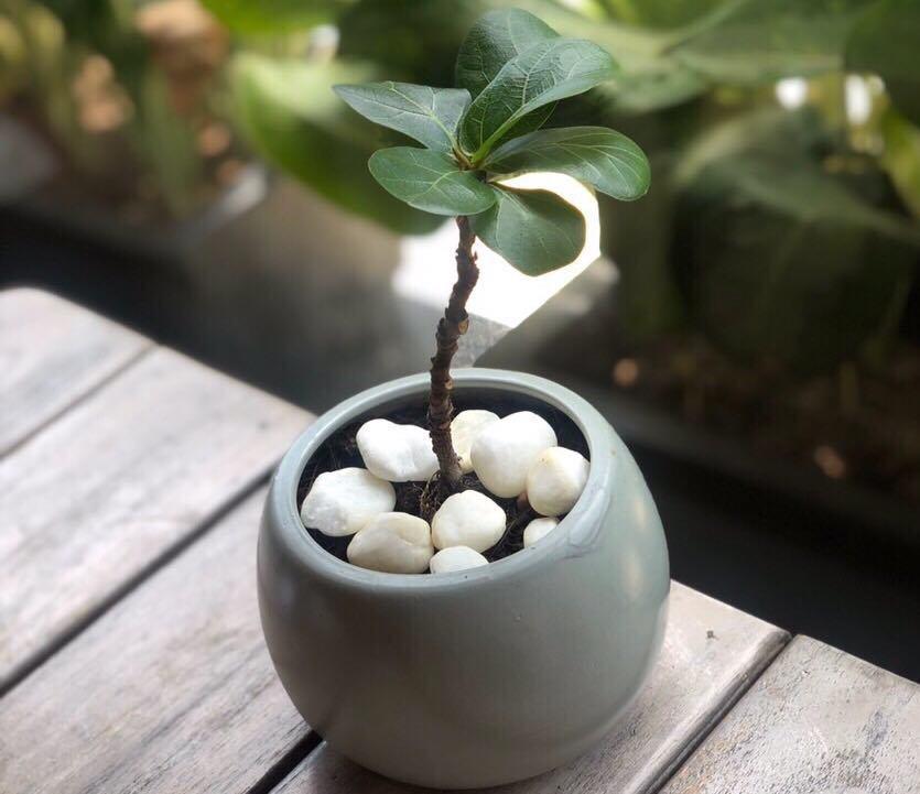 Giữa đêm vợ bắt xe đi khám bệnh, chồng ở nhà xin cháu dâu cho ngủ cùng-1