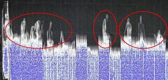 Vì sao 39 người phải vào Anh trong xe đông lạnh -25 độ C?-1