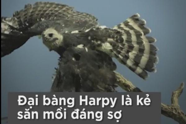 7 con đường mùa thu như chỉ có trong cổ tích-8