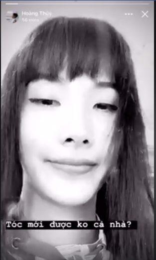 Trưng cầu dân ý kiểu tóc chó gặm đáng yêu nhưng Hoàng Thùy không có nổi 1 vote-2