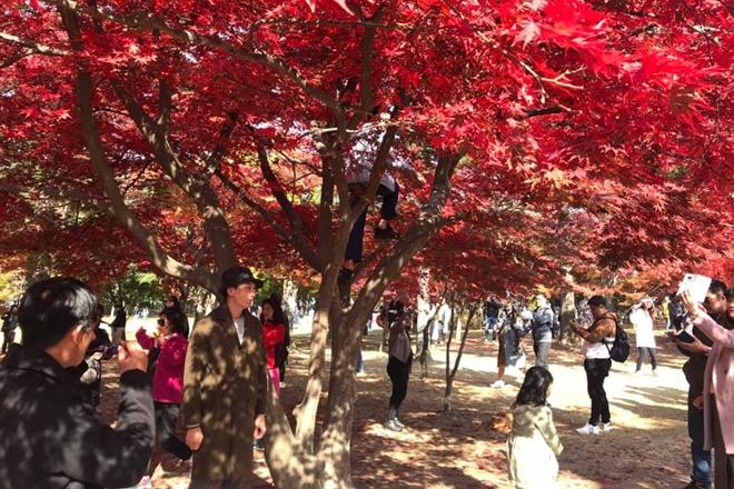 Du lịch Đà Lạt rồi nhờ bạn thân chụp ảnh, thanh niên nhận kết đắng còn dân mạng thì cười nghiêng ngả-14