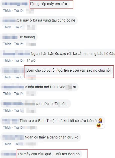 Tạo dáng uốn éo trên lưng cừu, Ngân 98 bị mỉa mai: Cừu ơi mày có thấy mùi silicon không?-3