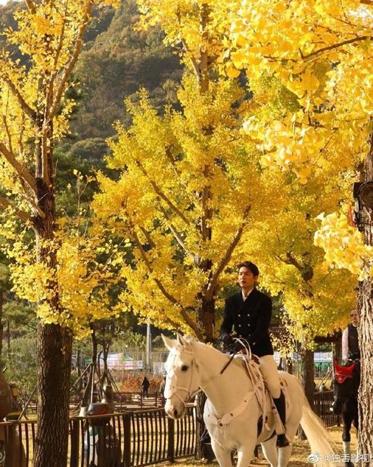 Lee Min Ho gây bão với tạo hình bạch mã hoàng tử trong phim mới-2