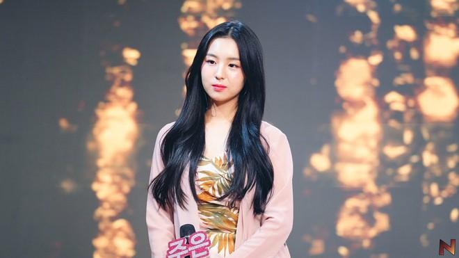 Quá khứ bê bối ảnh hưởng sự nghiệp các thần tượng Kpop như thế nào?-4