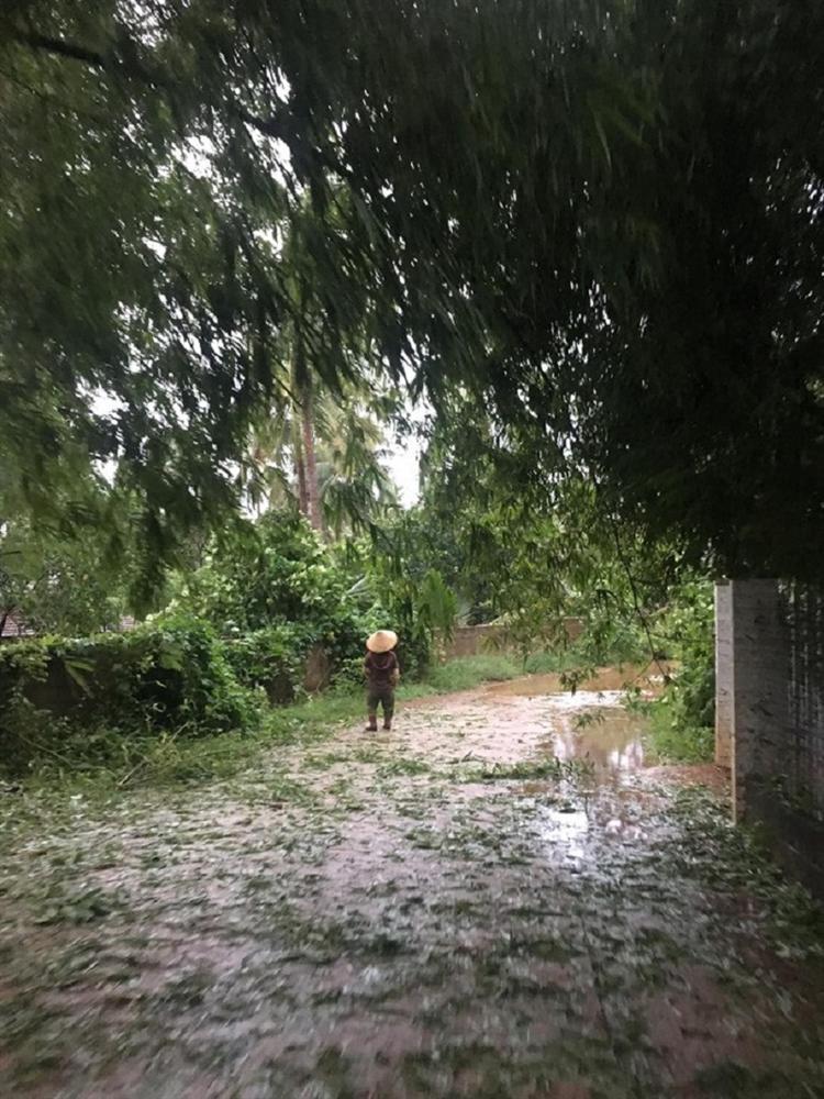 Cưới đúng ngày bão, rạp nhà gái bị gió quật tan hoang ngay trước lúc đón dâu-4