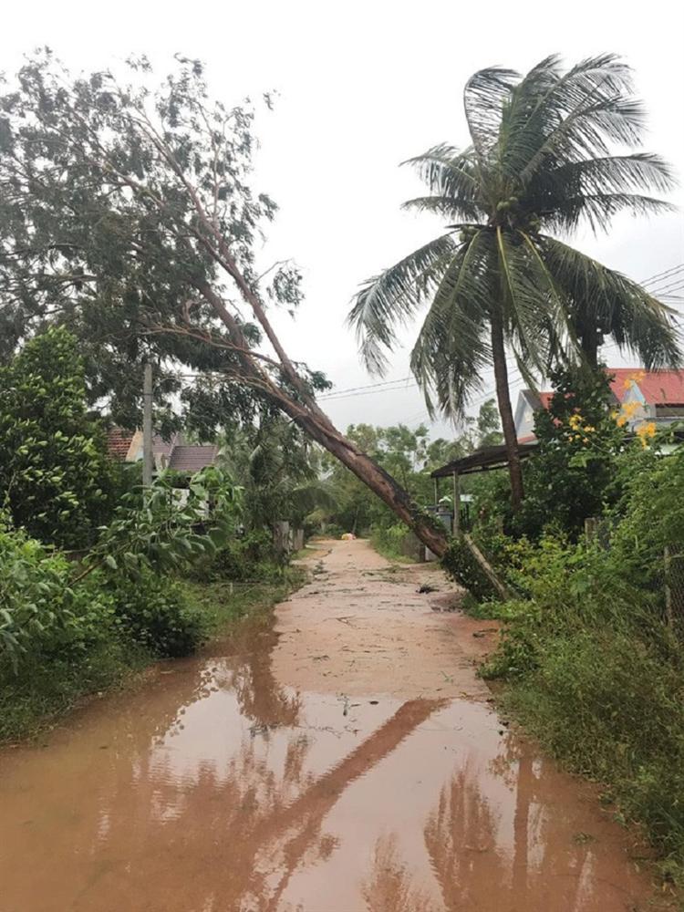 Cưới đúng ngày bão, rạp nhà gái bị gió quật tan hoang ngay trước lúc đón dâu-5