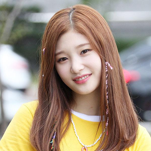 Tử vi thứ Bảy ngày 2/11/2019 của 12 con giáp: Ngọ làm việc hết mình, Tuất tình yêu nở hoa-1