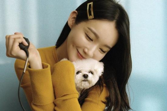 Tử vi tuần mới 12 con giáp từ 4/11/2019 - 10/11/2019: Dần vận đào hoa nở rộ, Sửu sức khoẻ suy giảm