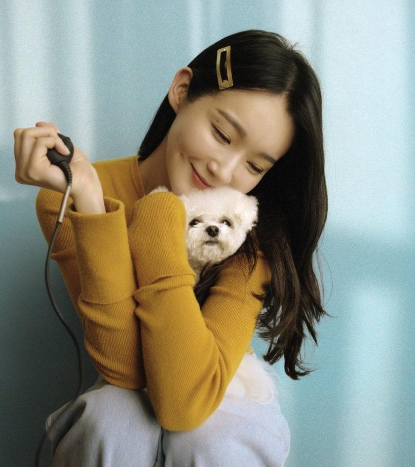 Tử vi tuần mới 12 con giáp từ 4/11/2019 - 10/11/2019: Dần vận đào hoa nở rộ, Sửu sức khoẻ suy giảm-2