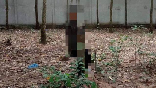 Người đàn ông chết trong tư thế treo cổ trên cây cao su, chân còn chạm đất-1