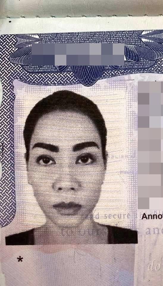 Thu Minh khoe ảnh visa mà ai cũng phải cạn lời vì hàng lông mày sâu róm như mặt nạ Halloween-1