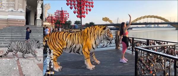 Trào lưu mới đổ bộ: Giới trẻ đua nhau làm sen cho hổ-1