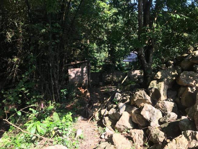 Yêu say đắm anh chàng có chứng nhận hộ nghèo nhưng cô gái vẫn phải chia tay vì lý do... mắc cười-3