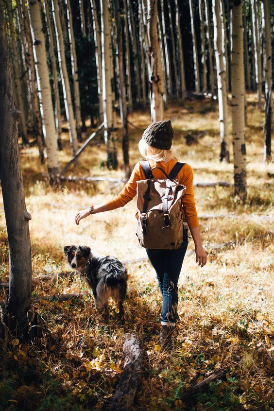 Tử vi thứ Tư ngày 6/11/2019 của 12 con giáp: Tỵ tình cảm thăng hoa, Thân đề phòng tiểu nhân-4