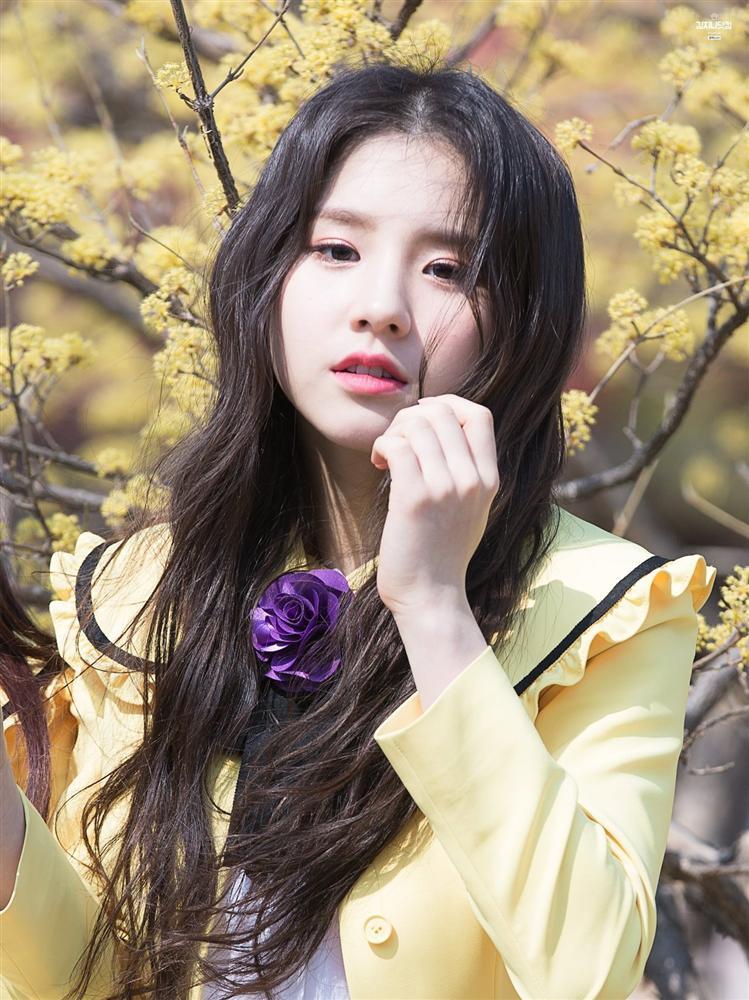 Tử vi thứ Năm ngày 7/11/2019 của 12 con giáp: Dậu nguy cơ thua lỗ, Hợi vững kiếp FA-3