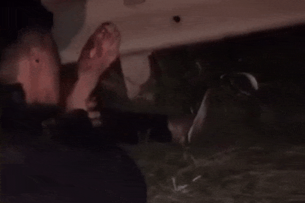 Hải Phòng: Bà mẹ 4 con nguy kịch vì tai nạn giao thông, thai nhi phải chào đời sớm-4