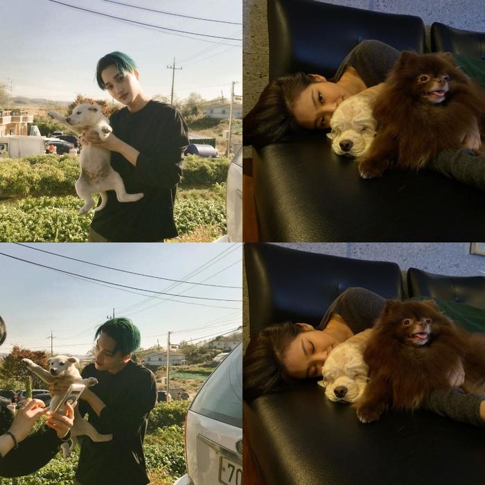 Với động thái mới trên Instagram, netizen đặt dấu hỏi liệu Kai (EXO) và Jennie (BlackPink) vẫn đang hẹn hò?-3