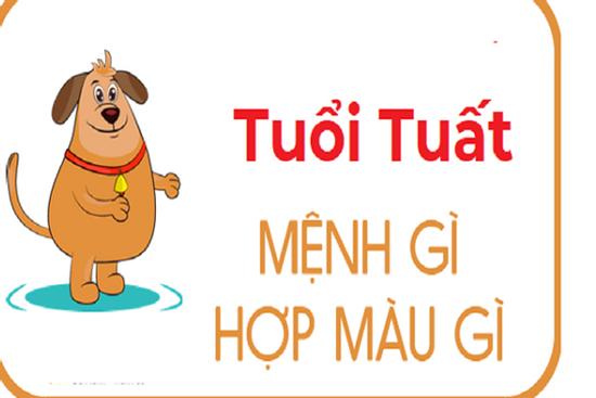 Chọn đúng những màu này sẽ giúp người tuổi Tuất xóa bỏ vận xui