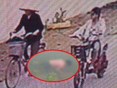 Bà nội sát hại cháu ruột ở Nghệ An