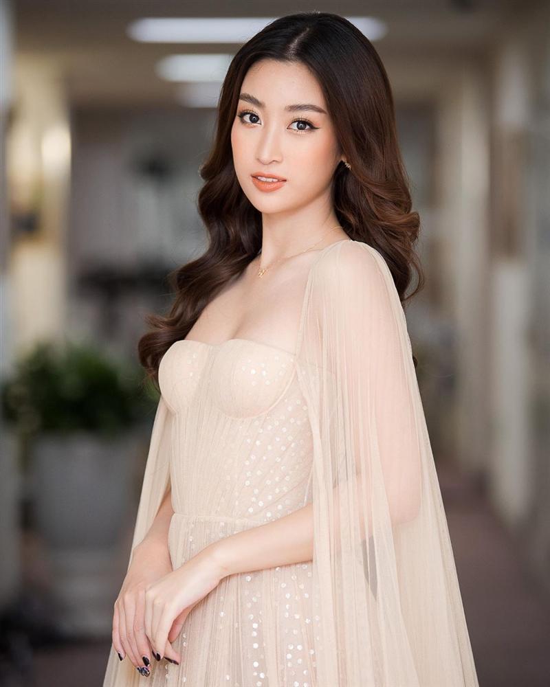 Hoa hậu Đỗ Mỹ Linh bị fan cuồng dội bom mạng xã hội, thống thiết cầu xin hoa hậu đừng bánh bơ - mũ phớt-5