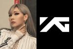 CL gặp sự cố mất nội dung kênh YouTube ngay sau khi rời YG Entertainment-6